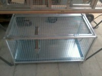 /album/fotogaleria/fotografia0146-jpg/
